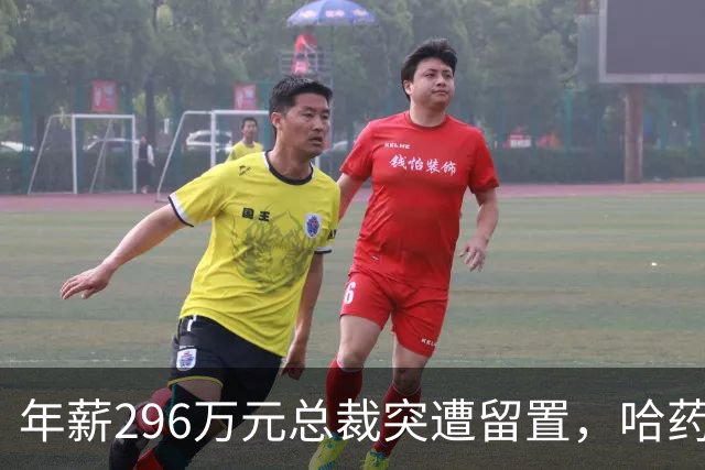 年薪296万元总裁突遭留置，哈药股份股价急剧下跌的背后真相